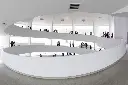 SOLOMON R. GUGGENHEIM    MUSEUM (4).webp