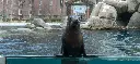Central-Park-Zoo_20190307_091.webp