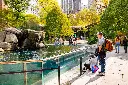 Central-Park-Zoo-1002130.webp