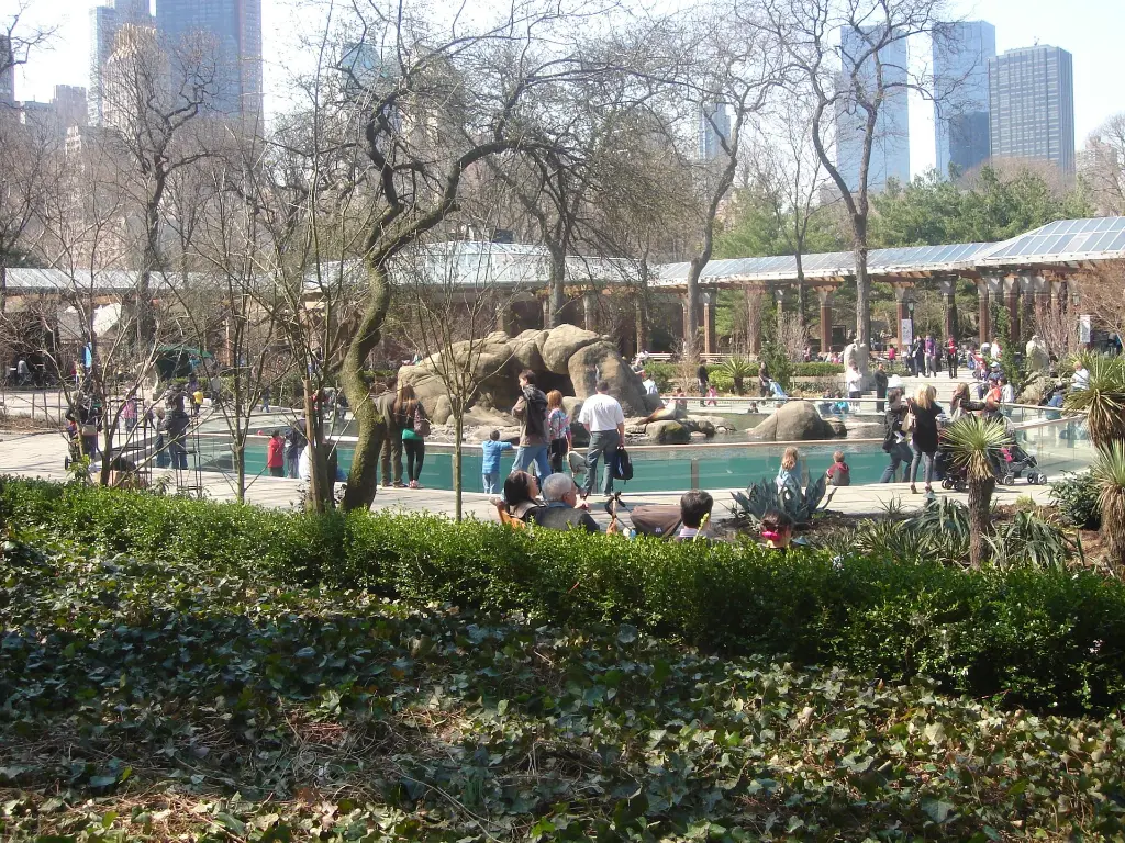 Central_Park_Zoo_area.webp