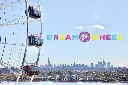DreamWheel_original.webp